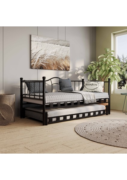 Kamelya Yavrulu Daybed Sedir Siyah Karyola