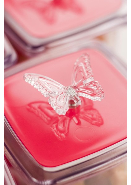 Akrilik Fuşya 12 Li Baharat Kavanozu & Baharatlık & Baharatlık Seti 200 ml ( Cam Değildir ) indirimleri