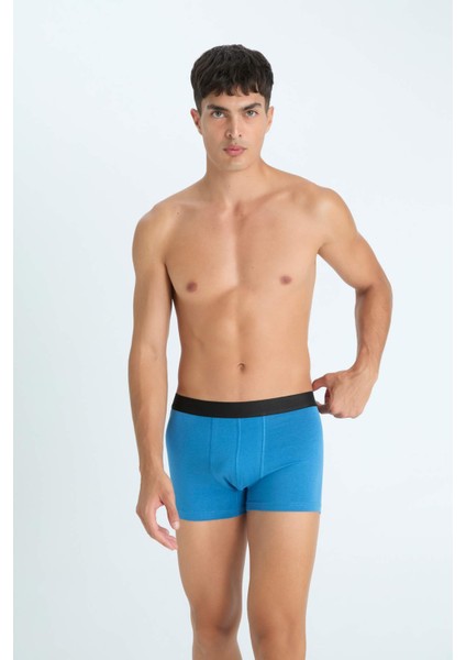 Regular Fit 3'lü Boxer C9529AX24AU