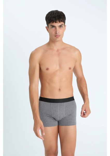 Regular Fit 3'lü Boxer C9529AX24AU