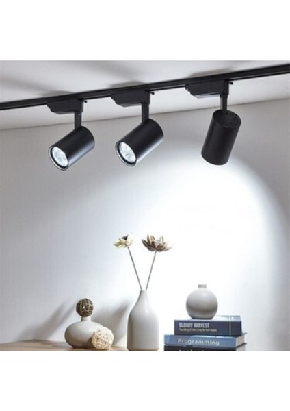 Siyah 3lü Dekoratif 30W Set Hazır Tak Çalıştır Beyaz Işık 1mt Ray Spot 6500K 30W modelleri