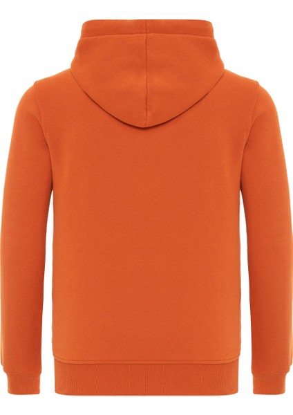 Hayes Erkek Turuncu Sweatshirt fiyatları