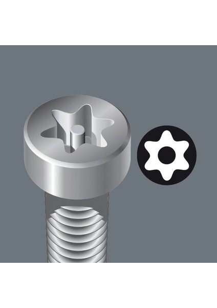 867/1 Z Torx Bo Bits Uç 25 Mm TX27 05066520001