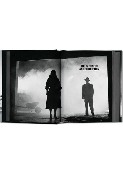 Alain Silver - Film Noir fırsatları