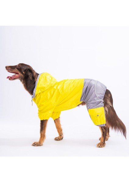 Sarı Gri Bicolor Orta ve Büyük Irk Köpek Tulum Yağmurluğu