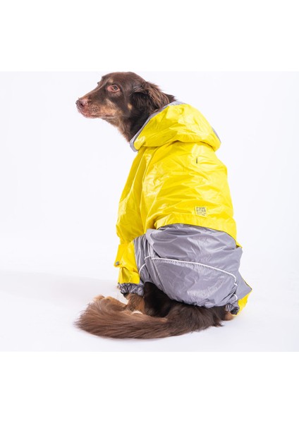 Sarı Gri Bicolor Orta ve Büyük Irk Köpek Tulum Yağmurluğu fiyatları