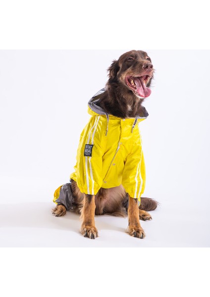 Sarı Gri Bicolor Orta ve Büyük Irk Köpek Tulum Yağmurluğu modelleri