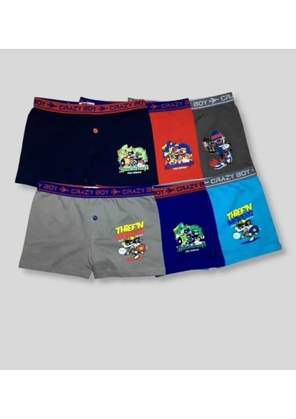 Erkek Çocuk 12"Li Karışık Desenli Elestan Pamuklu Boxer 0253