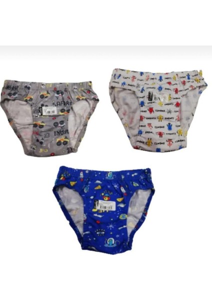 Erkek 12"Li Çocuk Karışık Desenli Elestan Pamuklu Silip Külot 0255 fiyatları