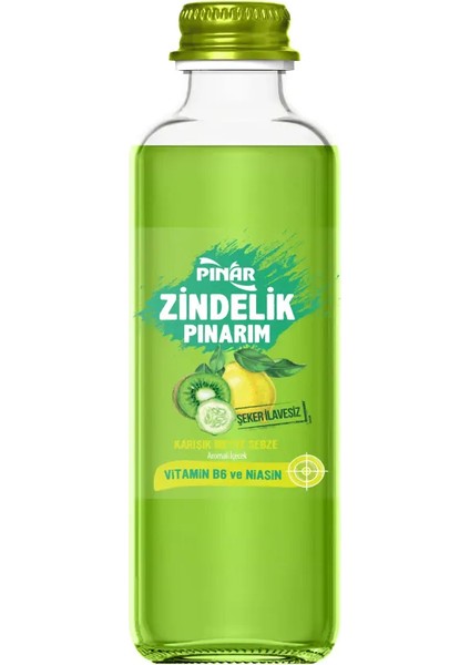 Zindelik Pınarım Karışık Meyveli ve Sebzeli 250 ml