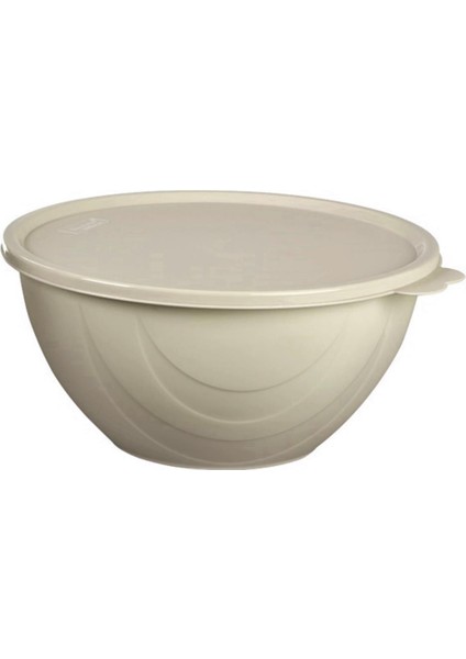 Moon Star Elegance Kapaklı Yoğurt Mayalama Kabı Yemek Saklama Kabı 4 LITRE-RBK-313 fırsatları