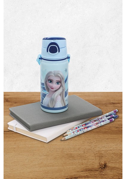 Frozen Çelik Matara Salto 500 ml Rider