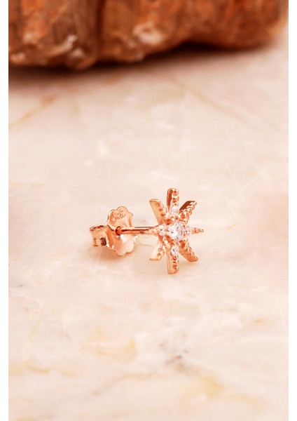 Yıldız Mini Rose Gümüş Küpe 6913 fiyatları