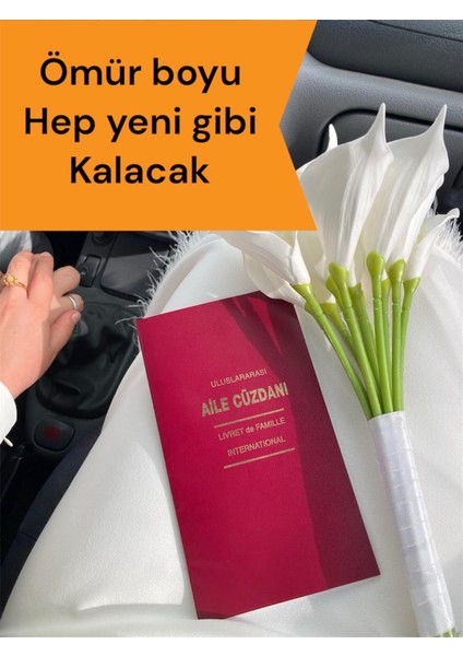 Şeffaf Uluslararası Aile Cüzdanı Kılıfı – Dayanıklı ve Koruyucu Evlinderme Cüzdanı Kılıfı