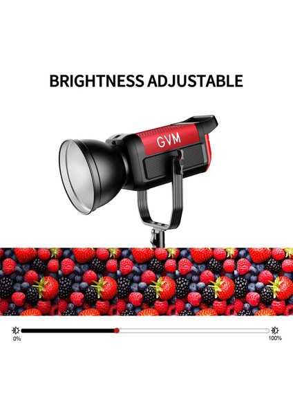 Pro SD200B Bi-Color LED Video Işığı