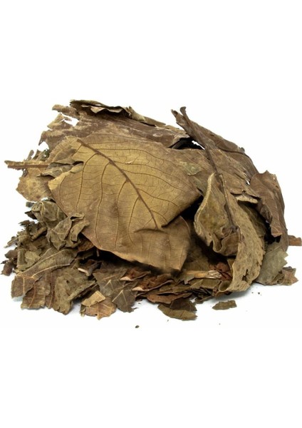 Ceviz Yaprağı 40 gr