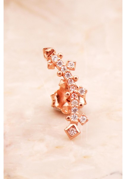 Ritim Mini Rose Gümüş Küpe 6924 fiyatları