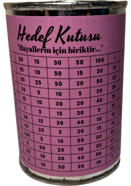 Hedefli Teneke Kumbara / Hedef Kumbarası (Hedef 5.000 Tl) - Pembe