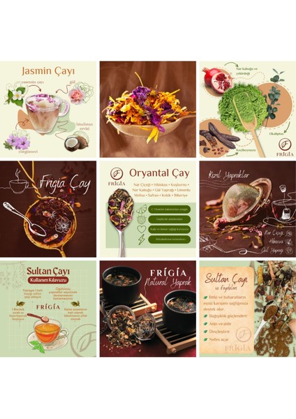 Mor Reyhan 25 gr Doğal fırsatları