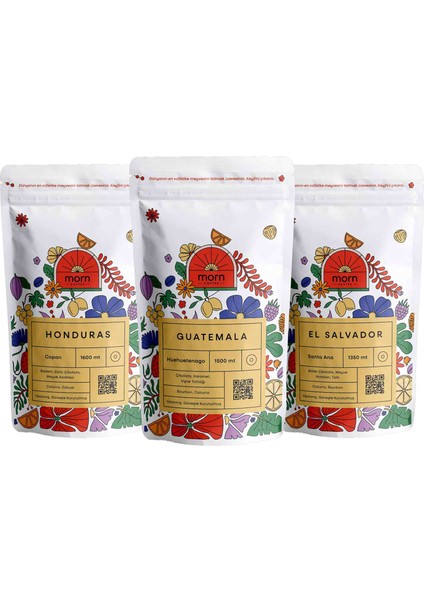 Orta Amerika Filtre Kahve Paketi - 3 x 100 gr