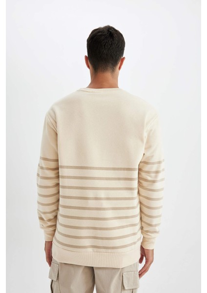 Comfort Regular Fit Rahat Kalıp Bisiklet Yaka Çizgili Kalın Sweatshirt D2397AX24AU