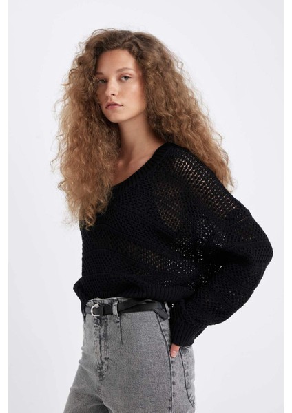 Regular Fit V Yaka Kroşe Siyah Triko Kazak D4633AX24AU