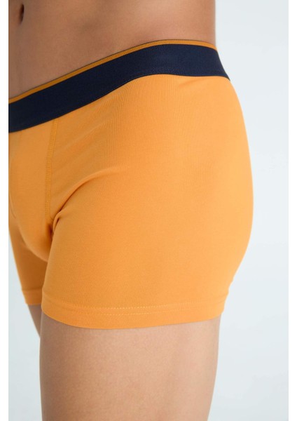 Regular Fit 3'lü Boxer C3293AX24SM