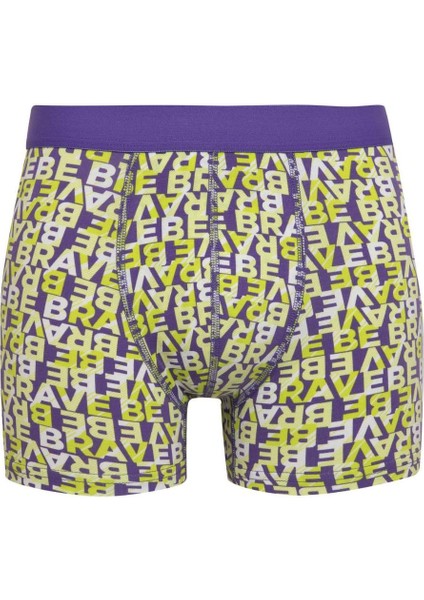 Regular Fit 3'lü Boxer B7968AX24SP