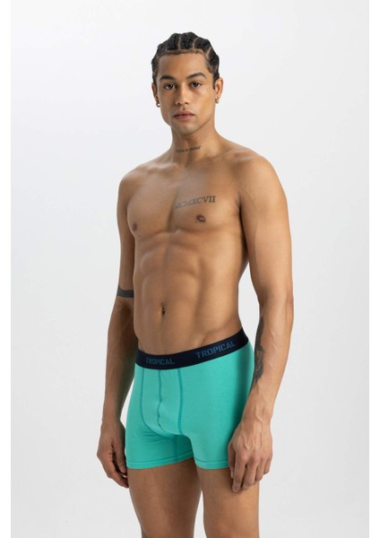 Regular Fit 3'lü Boxer B7961AX24SM