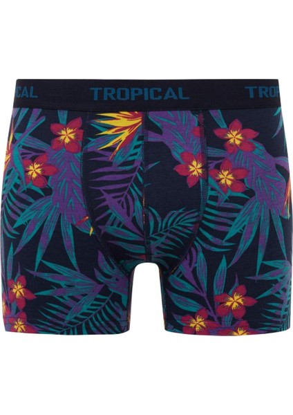 Regular Fit 3'lü Boxer B7961AX24SM