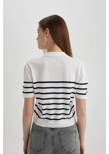 Regular Fit Polo Yaka Çizgili Kısa Kollu Triko Tişört C4402AX24SM