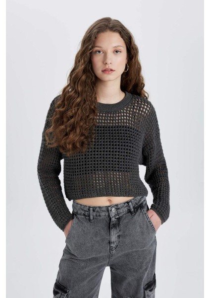 Regular Fit Bisiklet Yaka Kroşe Triko Kazak T4513AZ24SP