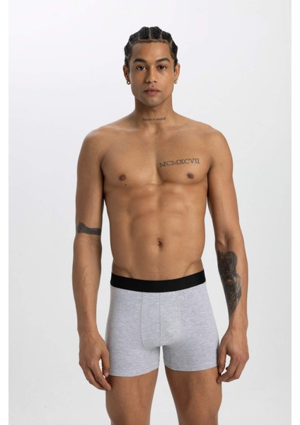 Regular Fit 3'lü Boxer B7797AX24SM