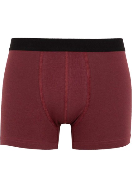 Regular Fit 3'lü Boxer B3272AX23AU