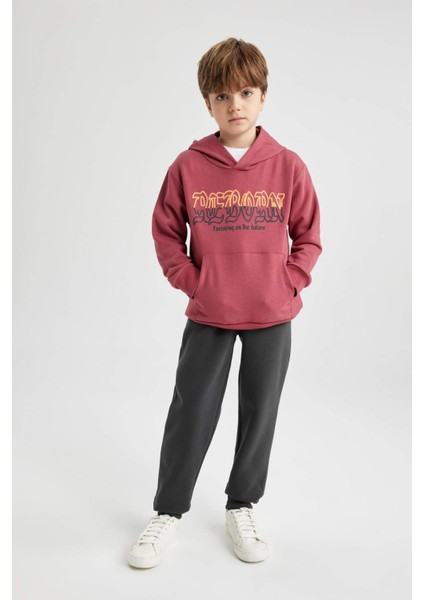 Erkek Çocuk Baskılı Kapüşonlu Kalın Sweatshirt B6312A823CW