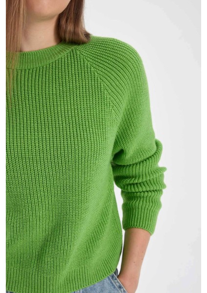 Coool Regular Fit Bisiklet Yaka Basic Düz Triko Kazak L2567AZ23WN