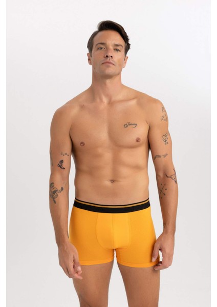 Regular Fit 3'lü Boxer A5993AX23AU