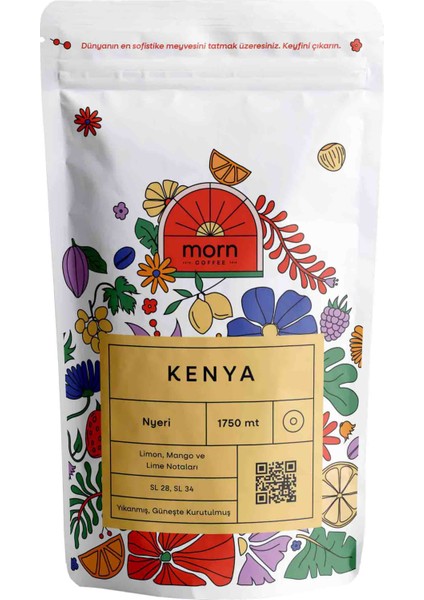 Asidite Sever Filtre Kahve Paketi - 3X100 gr fiyatları