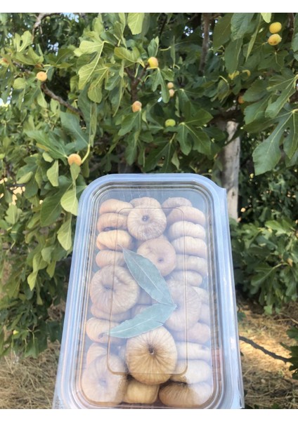 Yöresel Katkısız Kuru İncir 500 gr