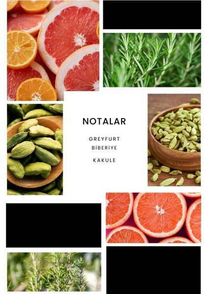 E246 Andreo Erkek Parfüm 50 ML EDP modelleri