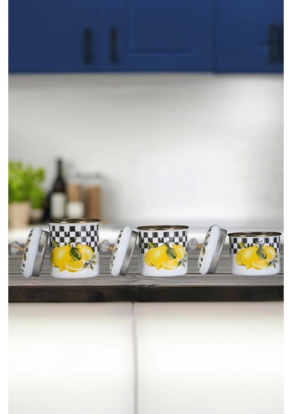 Lemon Baharatlık Seti fiyatları
