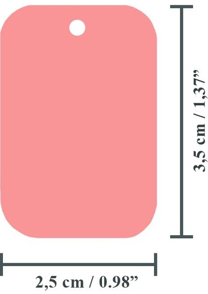 Dikdörtgen Şeklinde Kedi/ Küçük- Orta Irk Köpek- Isimliği/ Künyesi modelleri