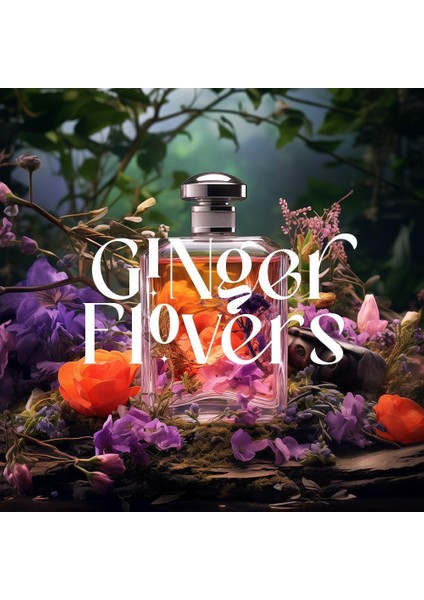 Auramax Pro Geniş Alan Koku Makinesi Siyah ve Ginger Flowers Auramax Koku Kartuşu 250 ml