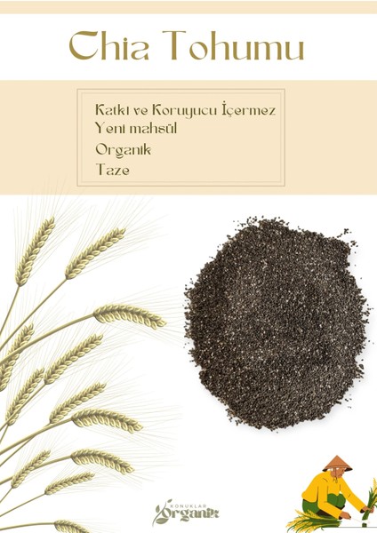 Chia Tohumu 200 gr fiyatları