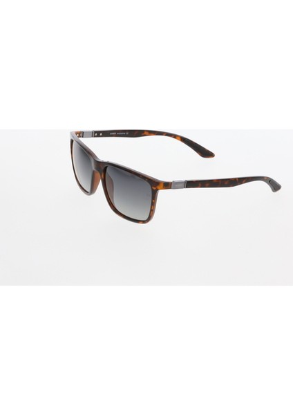 Güneş Gözlüğü (Unısex) 2185 02