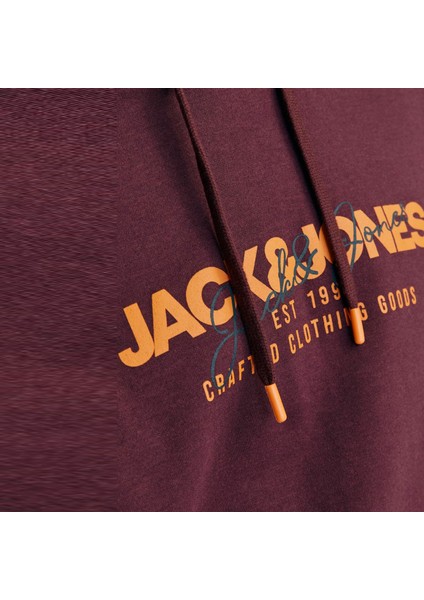 Erkek Kapüsonlu Gögüs Logo Baskili Sweatshirt - Alvis fırsatları