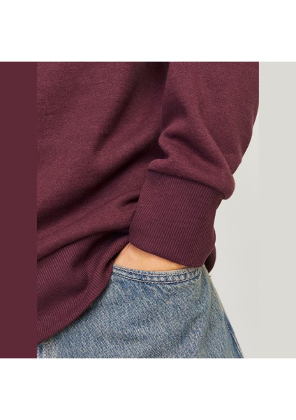Erkek Kapüsonlu Gögüs Logo Baskili Sweatshirt - Alvis fiyatları