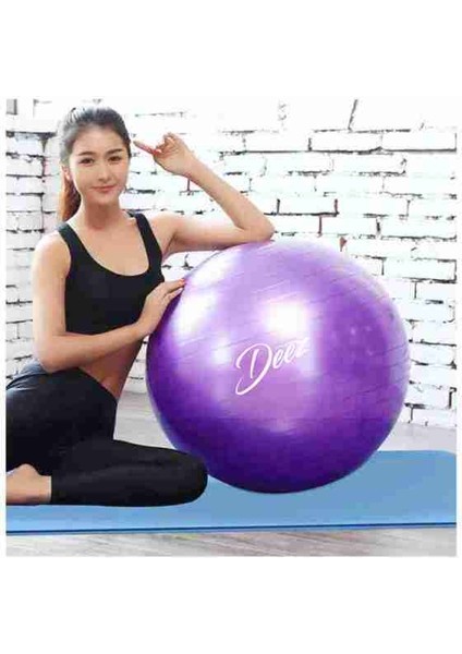 Pilates Fitness Topu fiyatları