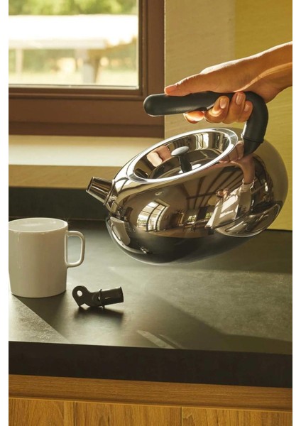 C / F Bulbul Kettle 2,5 Lt 2000 W ve Altı 220 - 240 V Modern 50 Hz / 60 Hz 2 Yıl Gümüş 1 - 2 L Pasl