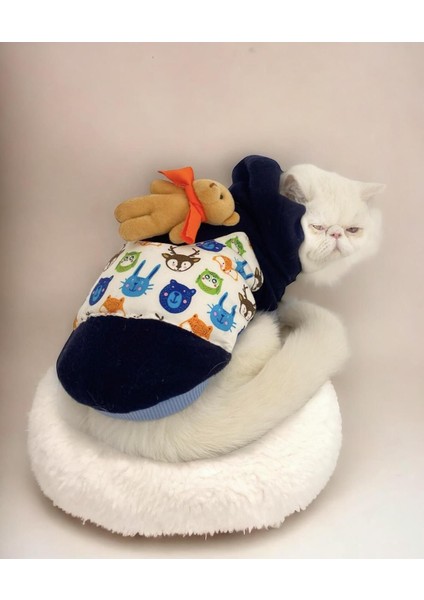 Cat Teddy Roo Kapşonlu Kedi Sweatshirt X_large 4 5 6 kg